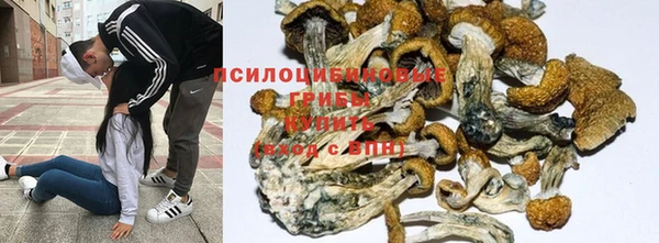 ALPHA-PVP Медногорск