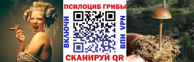 Купить  Нея  Галлюциногенные грибы ЛСД 